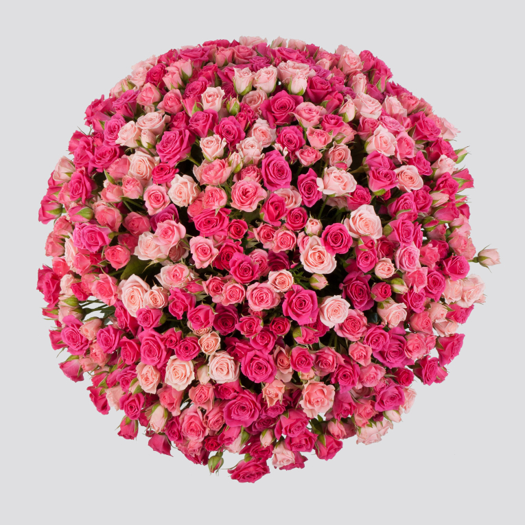 Букет в коробке Ожившая мечта (101 роза)