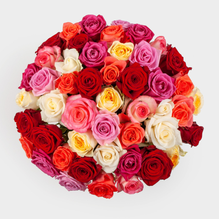 Букет в белой коробке Ночной зефир (51 роза)