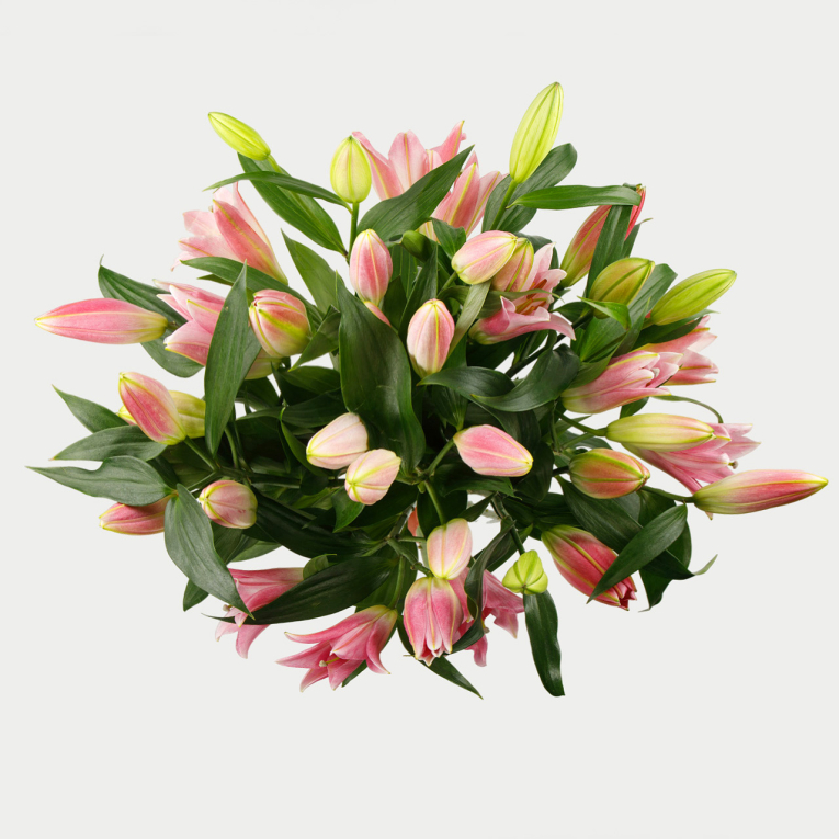 Букет из 11 лилий Элизабет