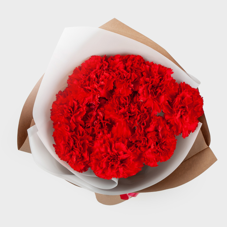 Букет Красный октябрь (11 гвоздик)