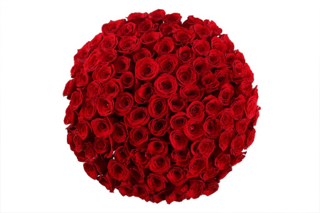 Букет 101 роза Фридом