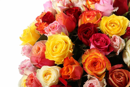 Букет Фламандская легенда (101 роза) в коробке