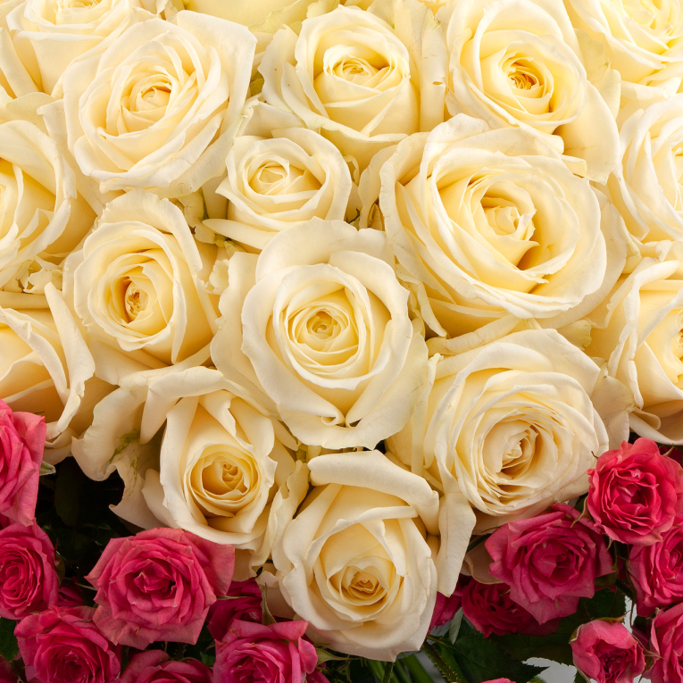 Букет из 101 розы Самая любимая