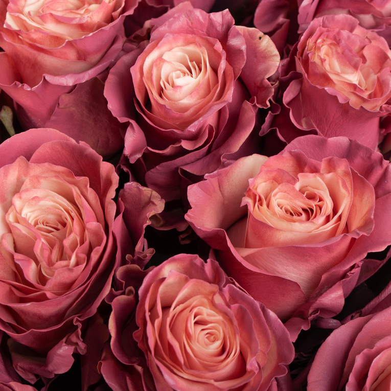 Букет 51 роза Кипение чувств