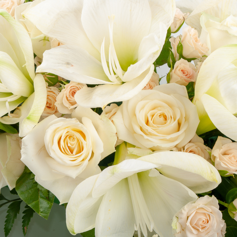 Комплект Мирабелла