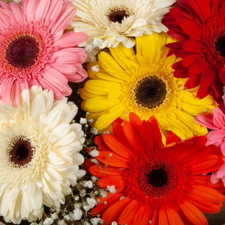 Букет Разноцветное счастье