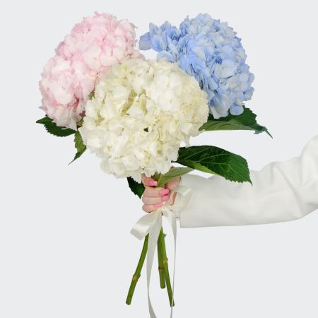 Букет 3 гортензии Цветочные облака