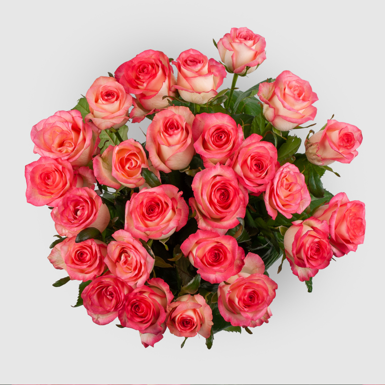 Букет из 25 роз Розовая лагуна