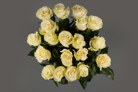 Букет 19 роз Мондиаль