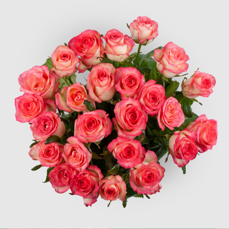 Букет из 25 роз Розовая лагуна