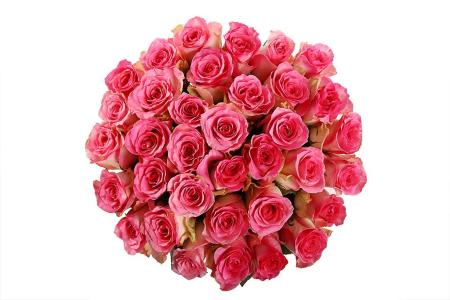 Букет 35 роз Малибу