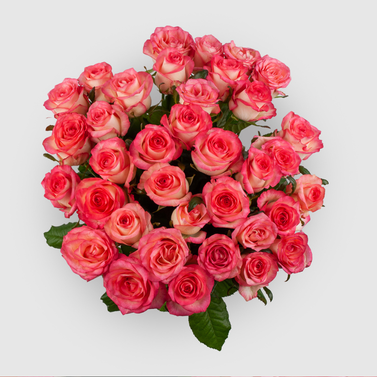 Букет из 35 роз Розовая лагуна
