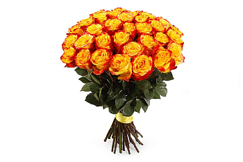 Букет 35 роз Хай Еллоу Букет 35 роз Хай Еллоу
