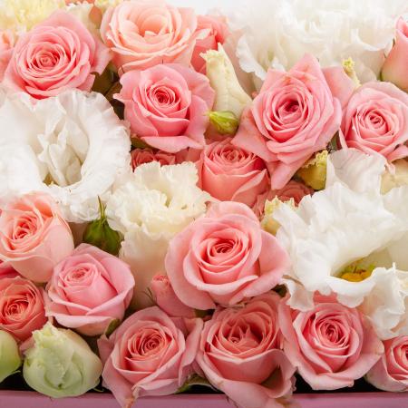 Розы в коробке Восход любви