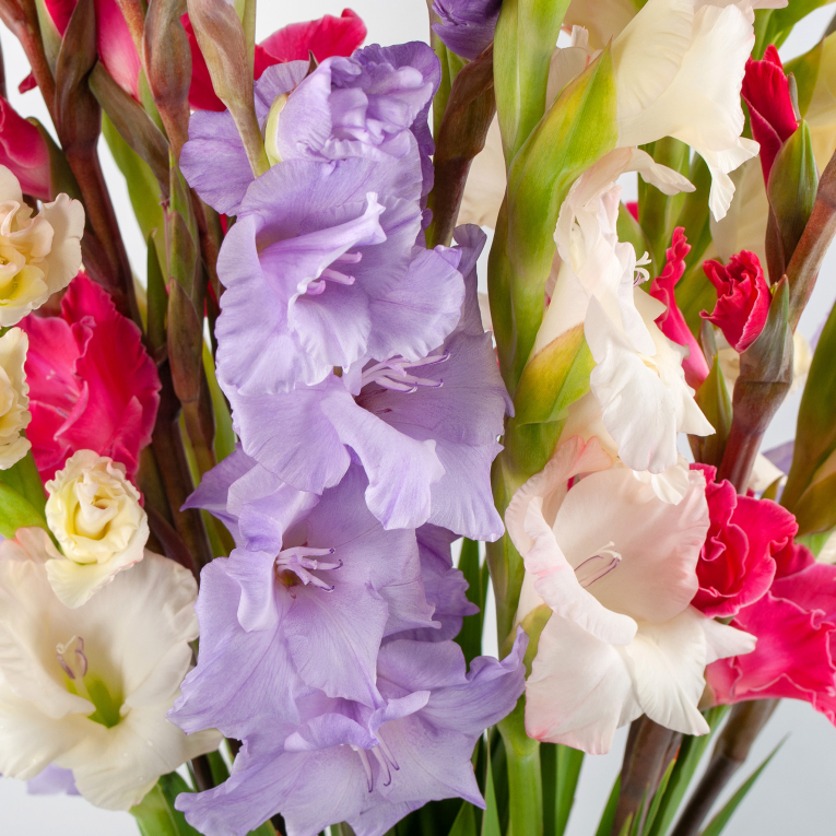 Букет гладиолусов Сезон изобилия