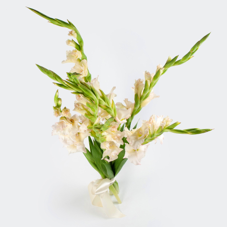 Букет гладиолусов Белые стрелы