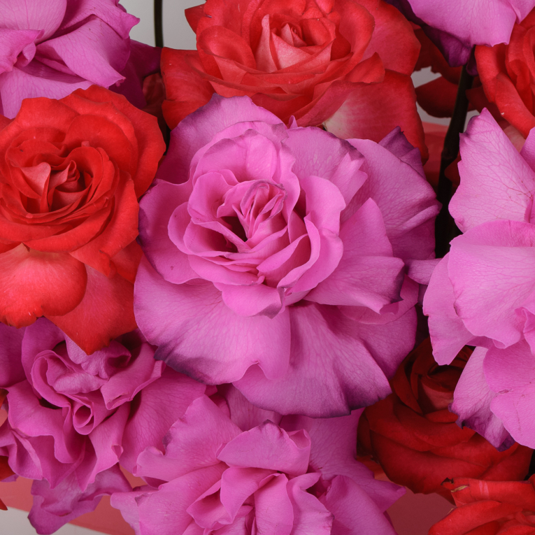 Композиция в кашпо Шарм и грация