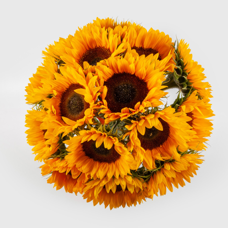 Букет из 15 подсолнухов Бархатный сезон