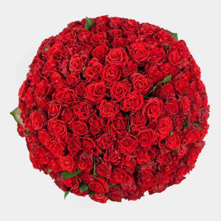 Букет из 151 розы Роковая страсть