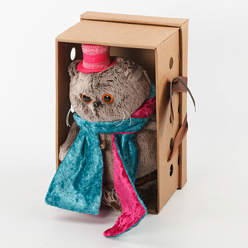 Кот Басик в бархатном кашне