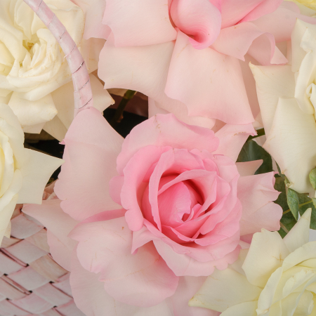 Розы в корзине Признание в чувствах