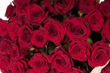 Букет 101 роза в корзине