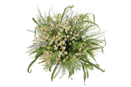 Букет с ромашками Ромашковый луг в коробке