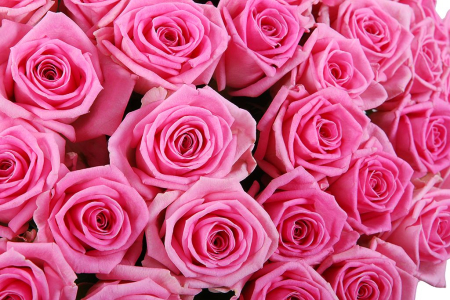 Букет 101 роза Аква