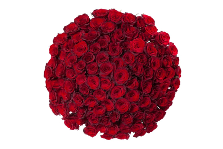 Букет из 101 красной розы Ред Париж