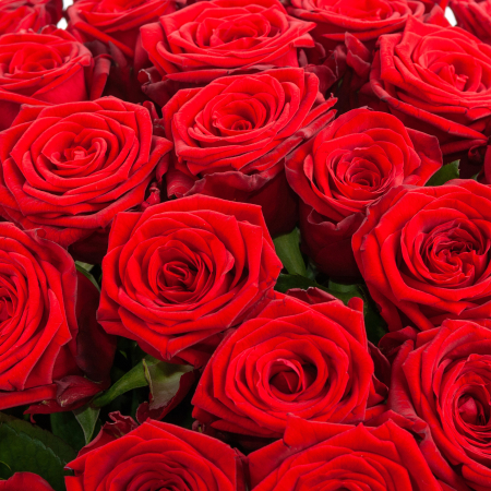 Букет из 51 красной розы Ред Наоми (40 см)