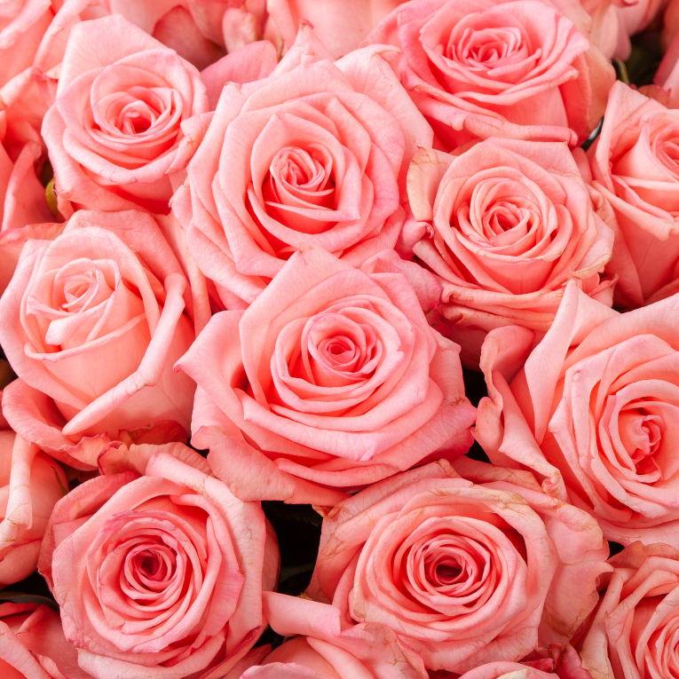 Букет Розовая королева (101 роза)