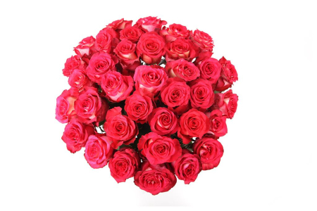 Букет 35 роз Игуазу