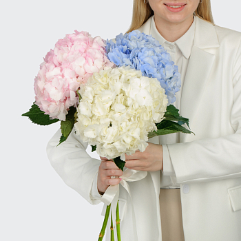 Букет 3 гортензии Цветочные облака