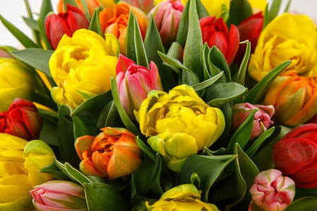 Букет Весенний цвет