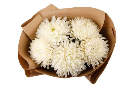 Букет из 5 белых хризантем Сингл