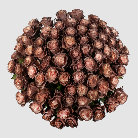 Букет 75 роз Кофе со сливками