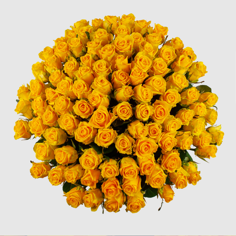Букет из 101 розы Золото любви