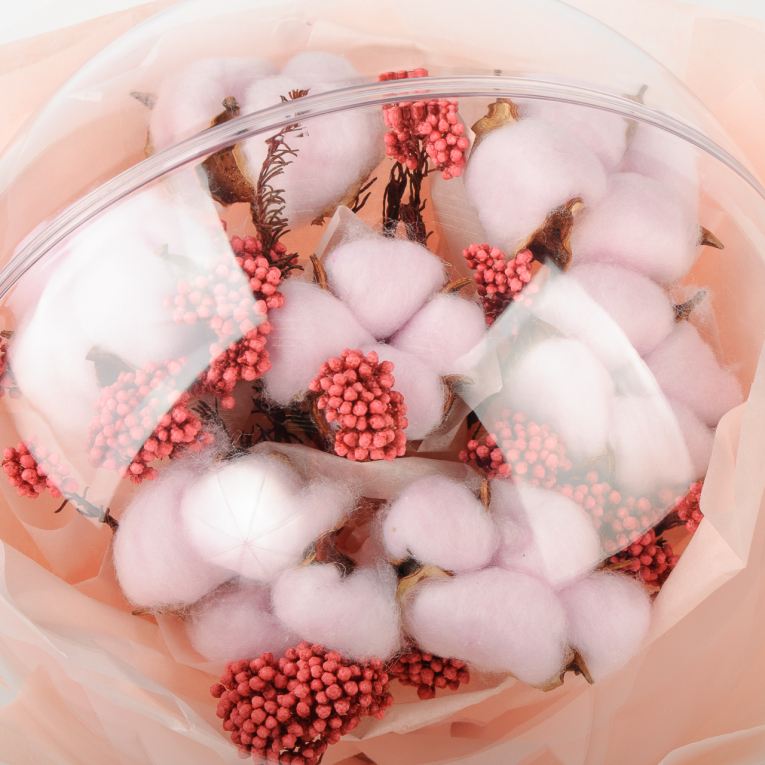 Композиция Мио