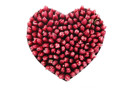 Композиция Весеннее вдохновение (макси), алая