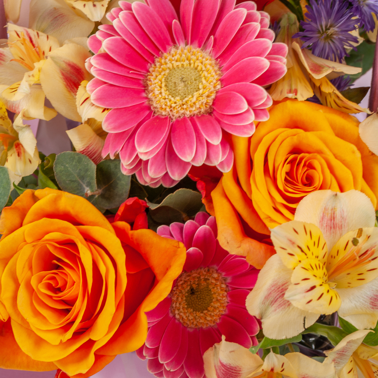 Композиция в кашпо Садик принцессы