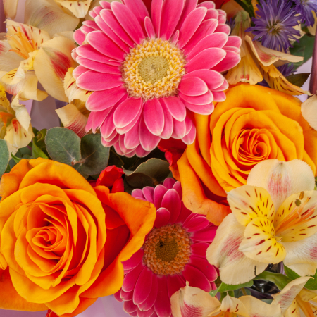 Композиция в кашпо Садик принцессы