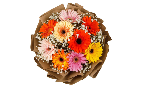 Букет из 9 гербер Звездный иней