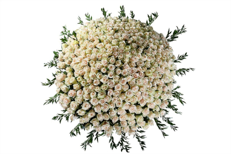 Букет 501 роза Талея в корзине