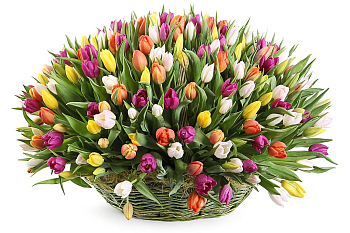 Букет Больше чем любовь Букет Больше чем любовь