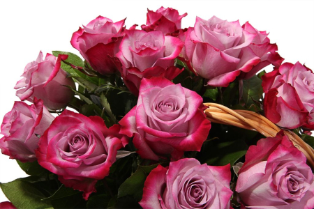 Букет 35 роз Дип Перпл в корзине