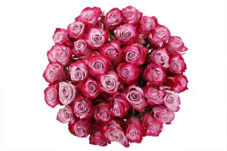 Букет 41 роза Дип Перпл