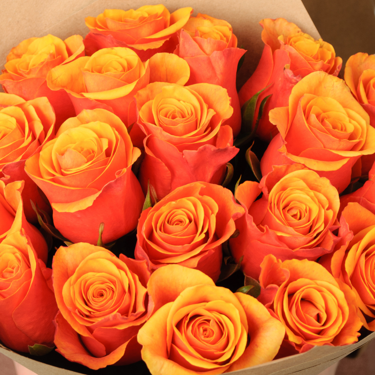 Букет из 19 роз Райские пташки