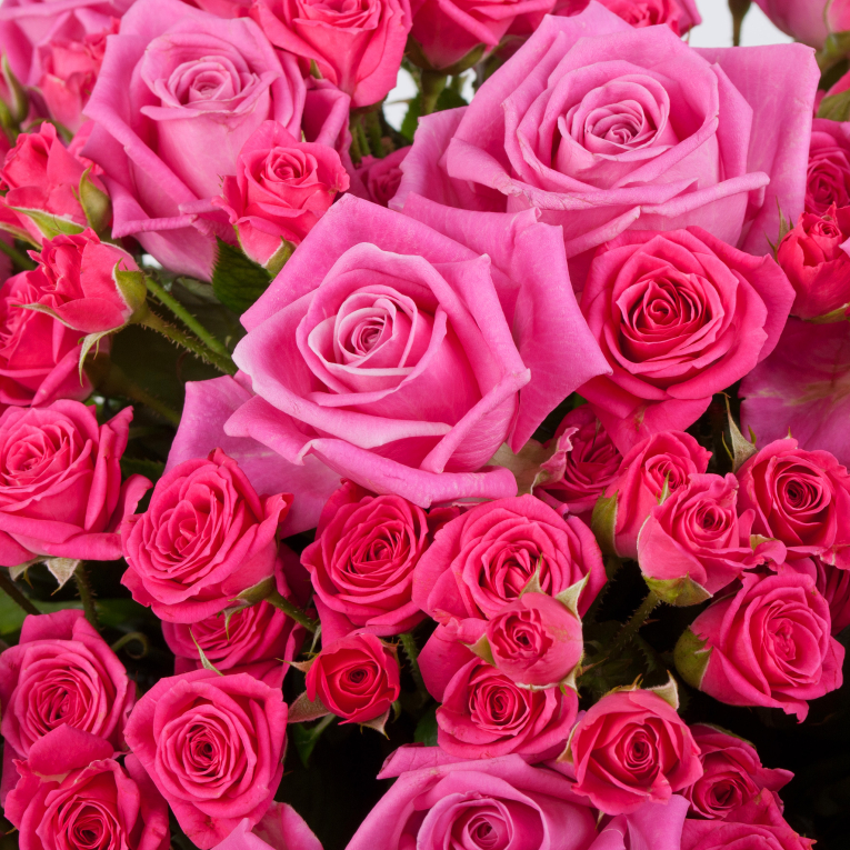 Букет из 51 розы Любовный секрет