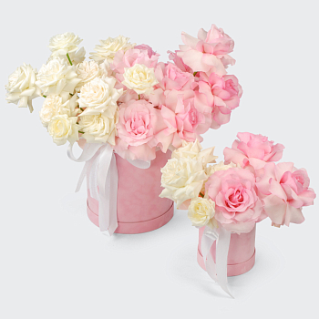 Комплект Параллели чувств