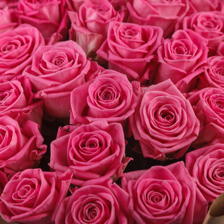 Букет 51 роза Только тебе